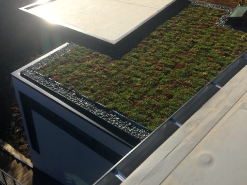 Low Slope Green Roof project 2016