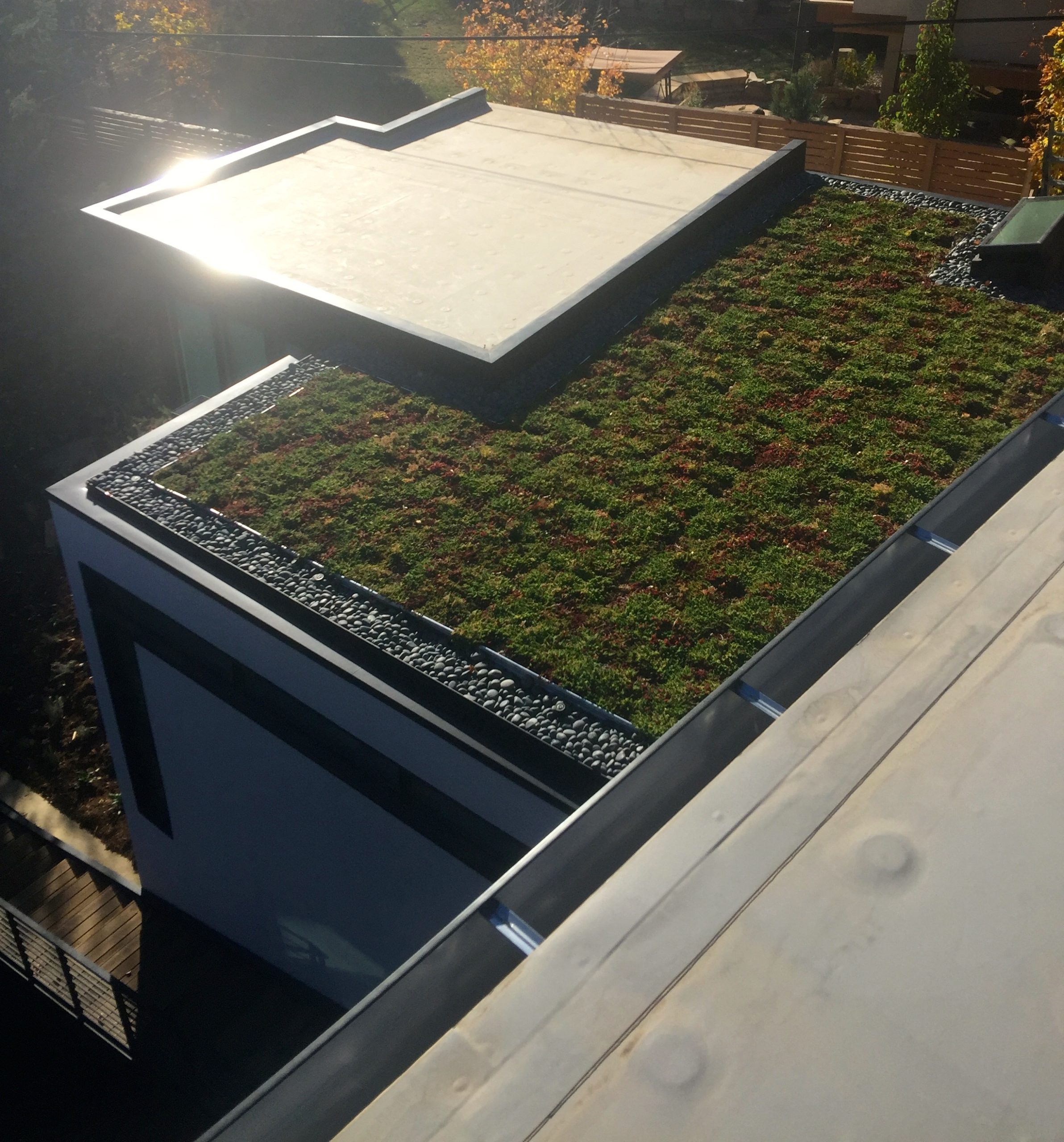 Low Slope Green Roof 16