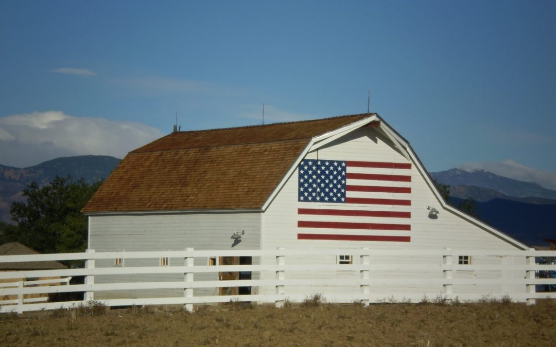 Slate & Cedar shake barn project