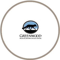 greenwood wildlife rehab logo